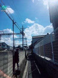 annbd : 又有一陣子我很瘋神社抽籤
我去了各地有名神社
這邊去一次之後就變成我的新私密景點😝
朋友來日本一定會帶來這!
因為沒有外國人沒有觀光客
然後還!很!好!拍!照!🤪🤪🤪🤪