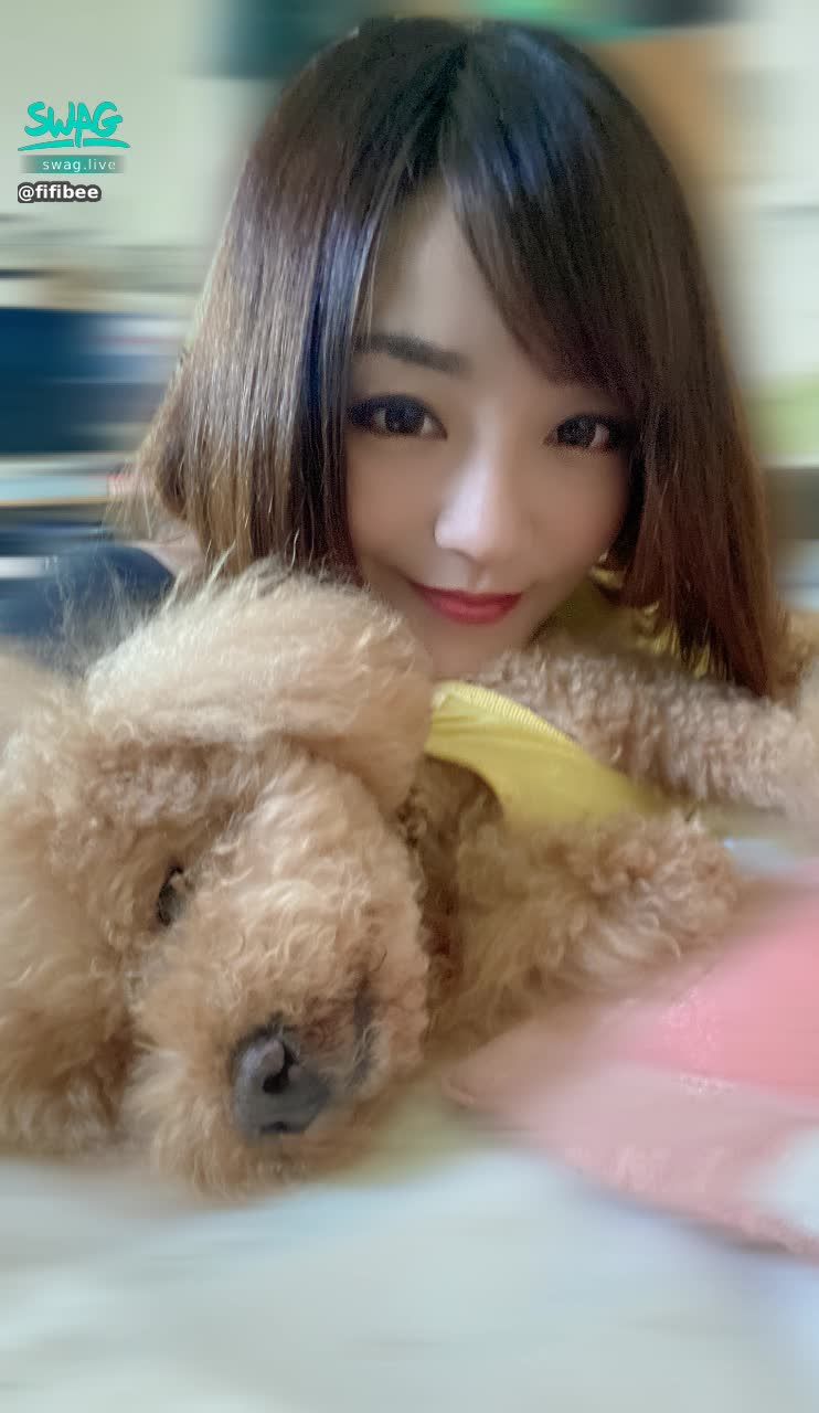 fifibee : Good morning 🌞 have a puppy 🐶 still sleeping