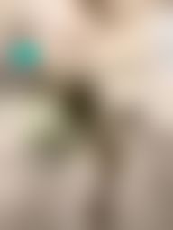 lovesisi : 🆘變態課長的性愛玩具🆘平常上班都不穿小褲的我🤭課長把我叫進他的專屬辦公室…此時此刻我只屬於他一個人