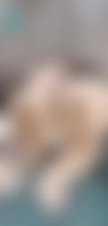 dirtymommy : whose ass you wanna fuck?