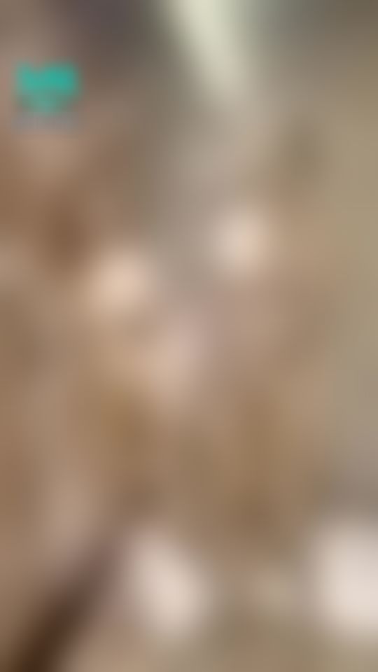 ladyyuan : 天降甘露啊！ 大噴水🤣🤣快迎接啊！ 
亭亭真的好色在玻璃前面壓奶🤣笑死
哥哥不解鎖是笨蛋⋯⋯