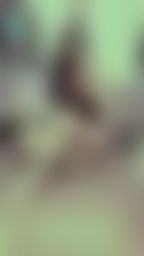 janicee : 美腿坐姿💚
今天穿這樣出門💗
胸口直接不客氣地挖洞😈
小活動開跑,用一個棒棒口紅,換迷你裙裙底曝光的誘惑前鏡頭影片,加上一個哥哥沒拿過的福利影片💓
black and sexy💙
#長髮 #黑髮 #sexy #短褲 #氣質 #赤腳 #美腿 #性感 #裸足 #側乳 #背心 #南半球 #胸部 #鎖骨