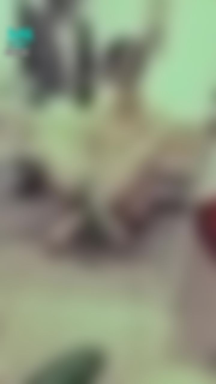 janicee : 💚大黃瓜play💚
用大黃瓜摩擦💋
曝光小褲的性感M字腿😈
開衩短褲下的腳腳💙
big cucumber😍
#長髮 #黑髮 #sexy #短褲 #氣質 #赤腳 #美腿 #性感 #裸足 #腳趾 #馬尾 #開衩 #腳底 #大腿 #M字腿