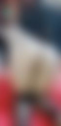 dirtymommy : doggie fuck in black stocking