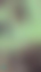 janicee : 露出香肩💓
極短褲背面的美臀💋
透明襯衫與胸部挖洞的上衣😈
無法忽略的性感半球👀
今天生日的白色系少女💙
與黑色膝上襪💚
White girl🌸
#美腿 #鎖骨 #挖洞 #性感 #sexy #長髮 #膝上襪 #絕對領域 #短褲 #半球 #襯衫