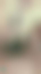 janicee : 地板上動動腳🌹
修長美腿🌸
透明襯衫與胸部挖洞的上衣😈
無法忽略的性感半球👀
昨天生日的白色少女與黑色膝上襪💋
White girl🌸
#美腿 #鎖骨 #挖洞 #性感 #sexy #長髮 #膝上襪 #絕對領域 #短褲 #半球 #襯衫