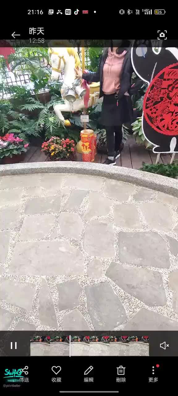 jolinbebe : 迷你馬。超棒的。