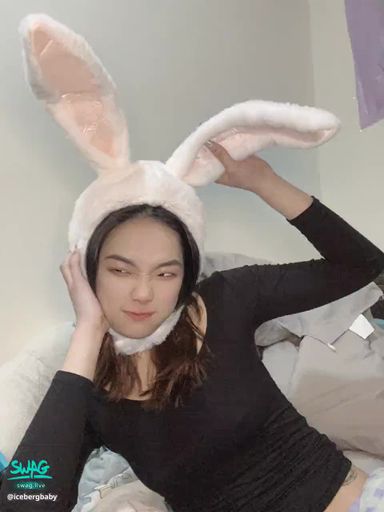 不可以吃兔兔 | SWAG