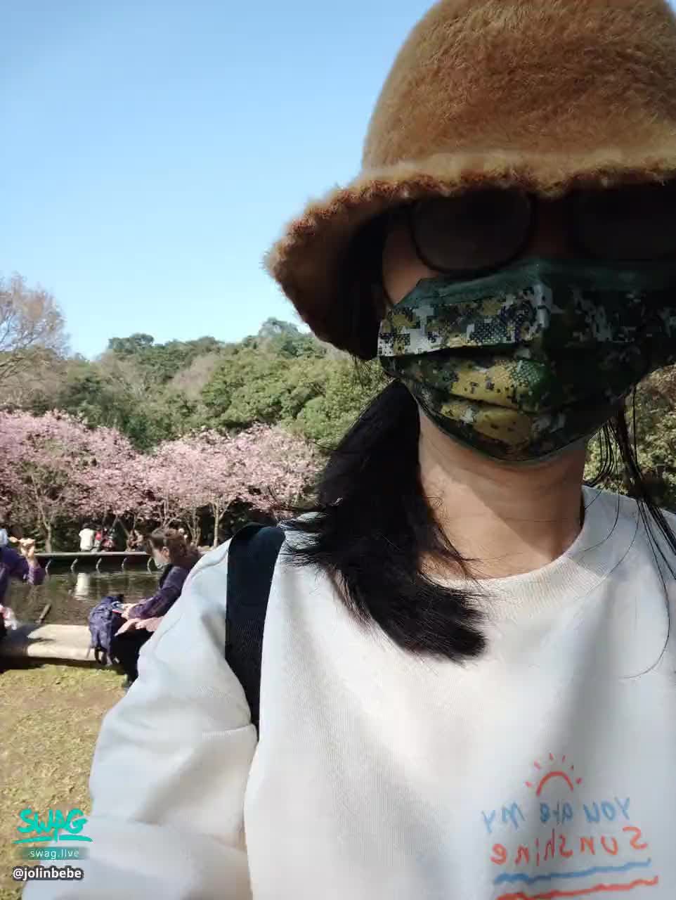 jolinbebe : 櫻花盛開