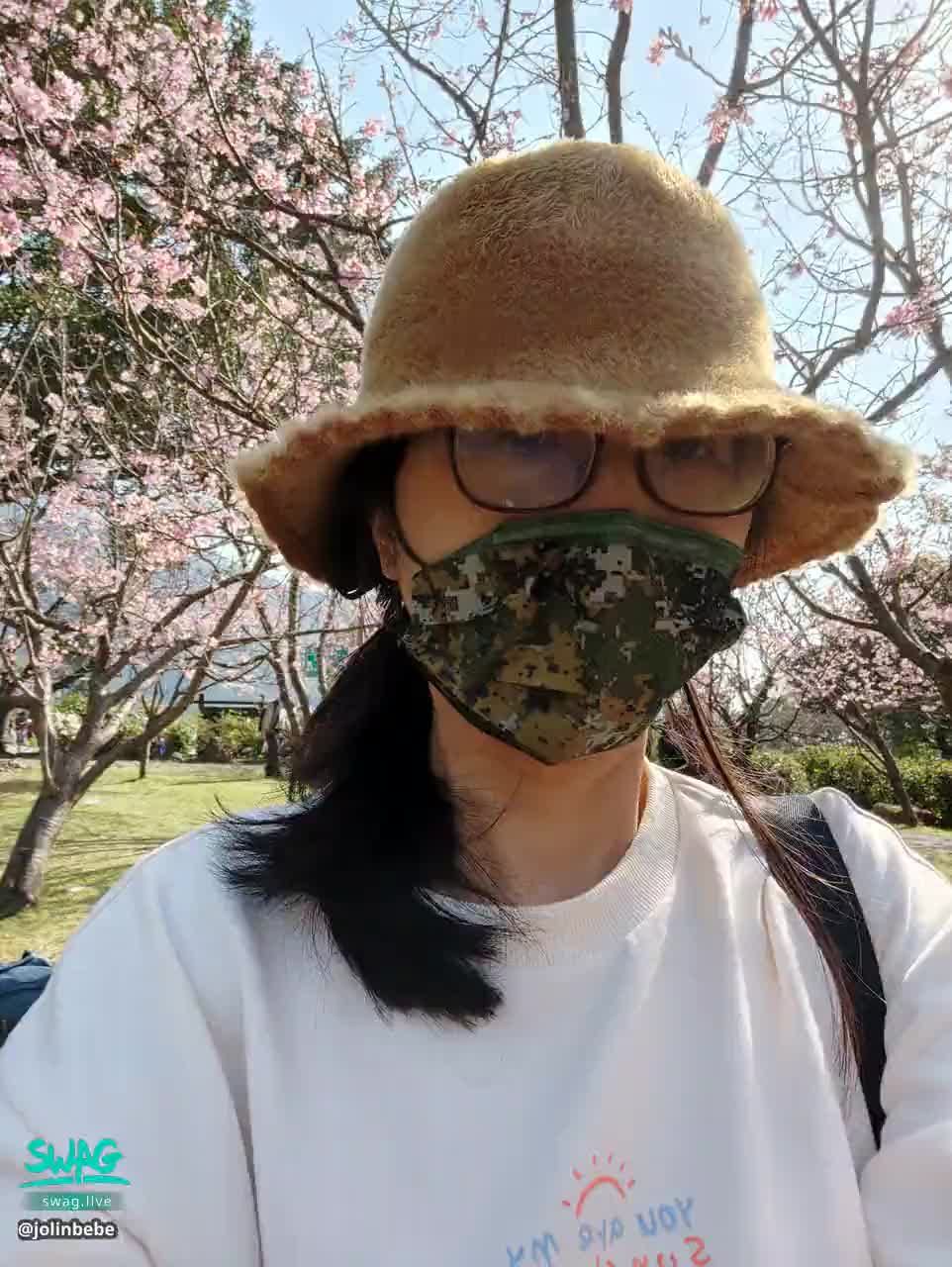 jolinbebe : 我愛賞櫻