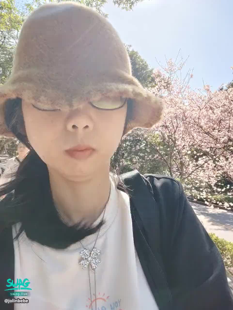 jolinbebe : 粉紅吉野櫻 夢幻