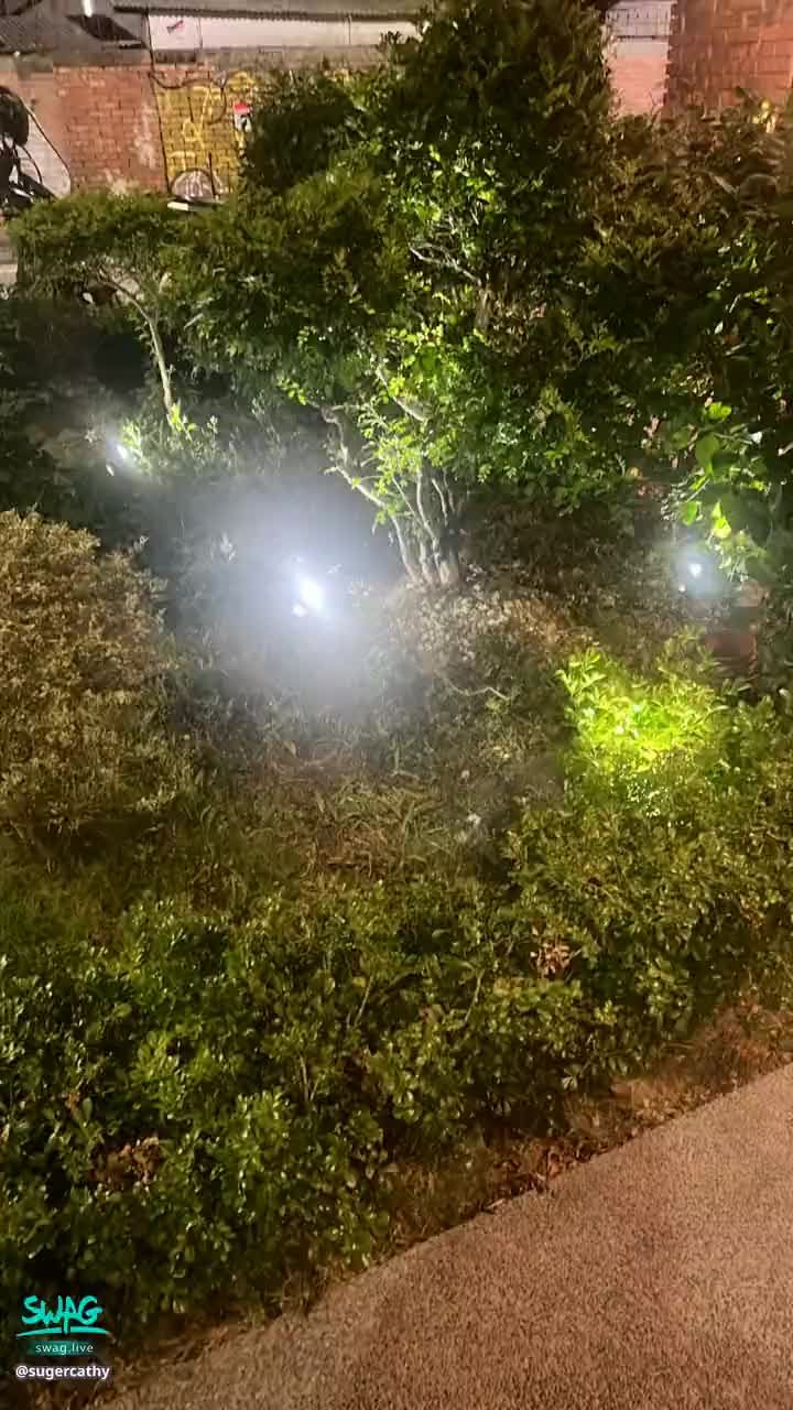 sugercathy : 寶寶們,直播延後半小時唷😘