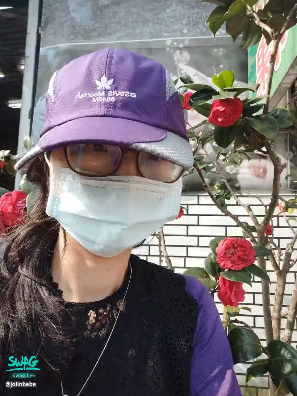 jolinbebe : 紅茶花。