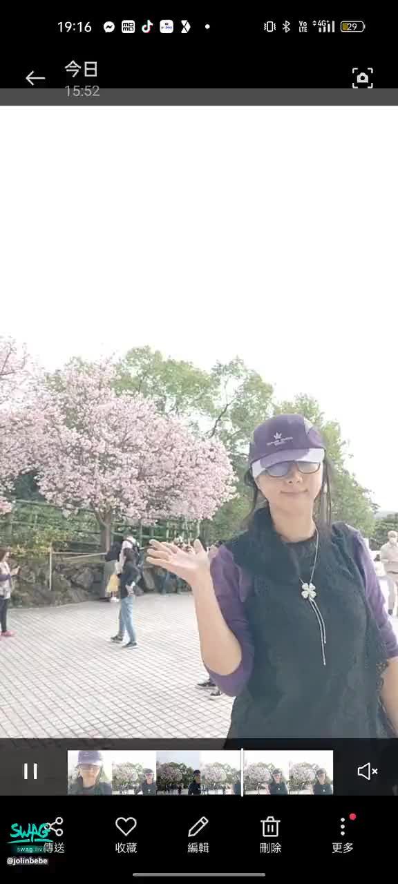 jolinbebe : 賞花好心情