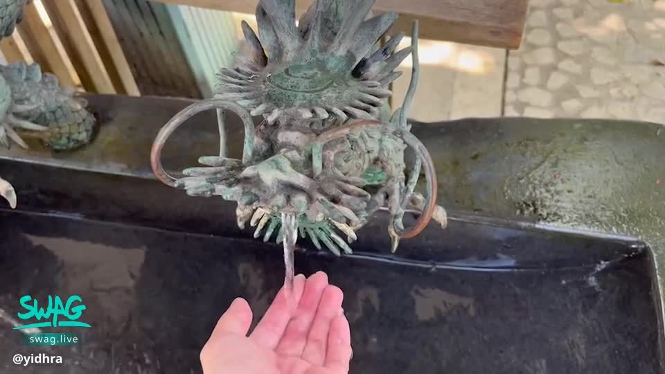  : ❌願都平安🐲