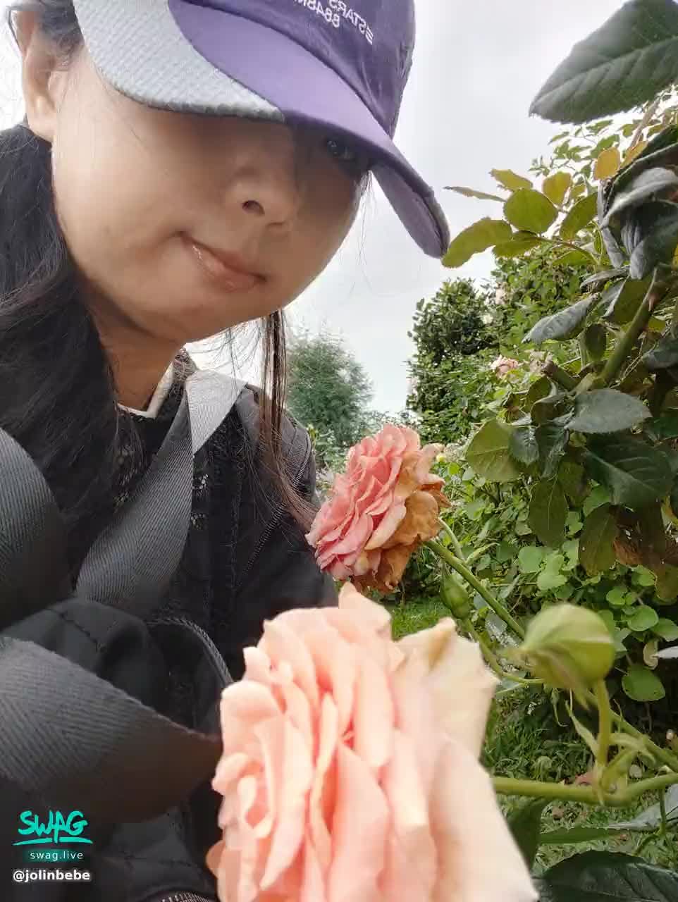 jolinbebe : 我愛玫瑰。花。芬方美麗