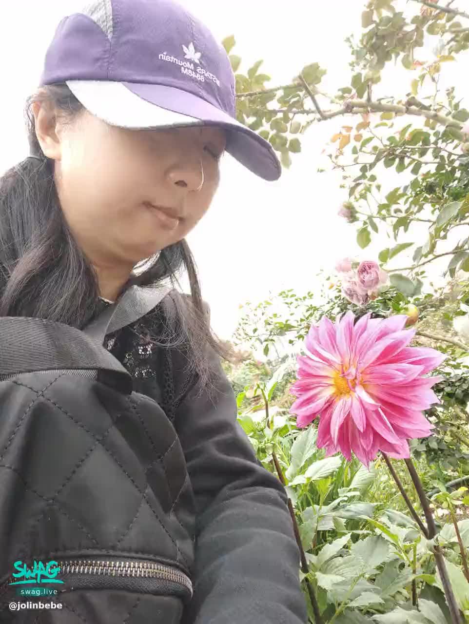 jolinbebe : 花美爆。濕訊