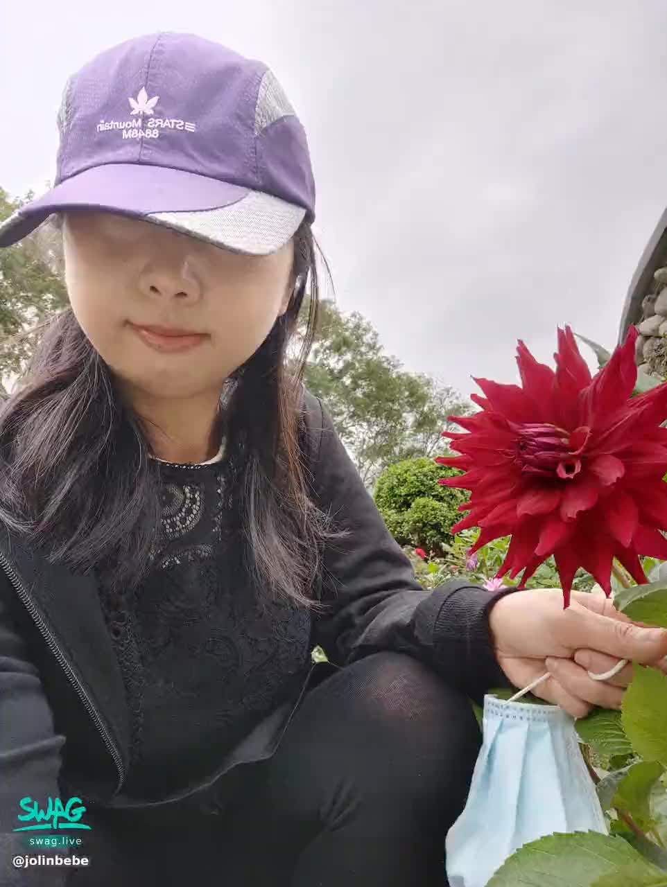 jolinbebe : 一支獨秀