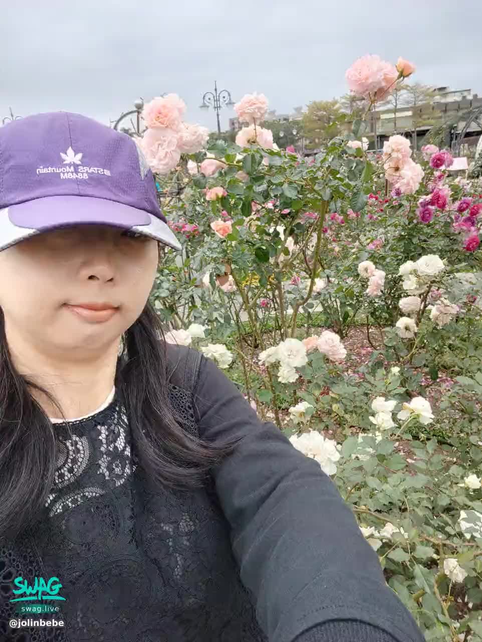 jolinbebe : 520rose