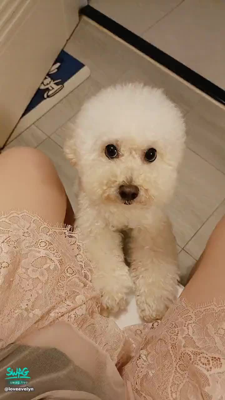 loveevelyn : 臭小子你看哪呢?