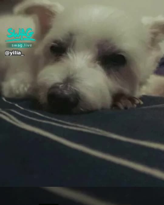 yilia_ : 放歌時間~~~