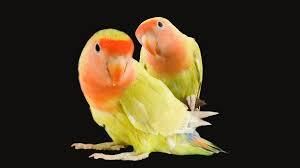 eets20 : test
test 123