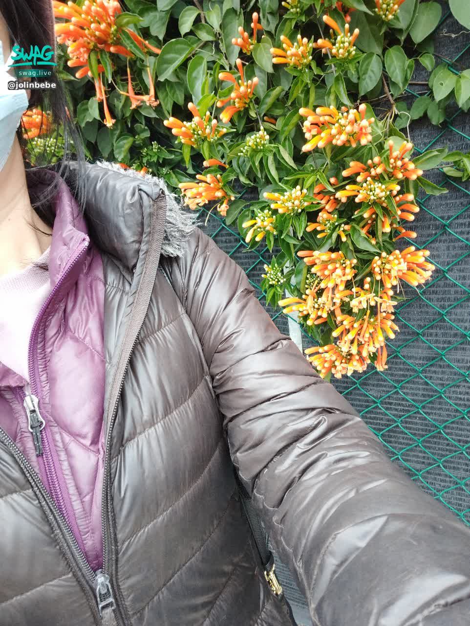 jolinbebe : 花海