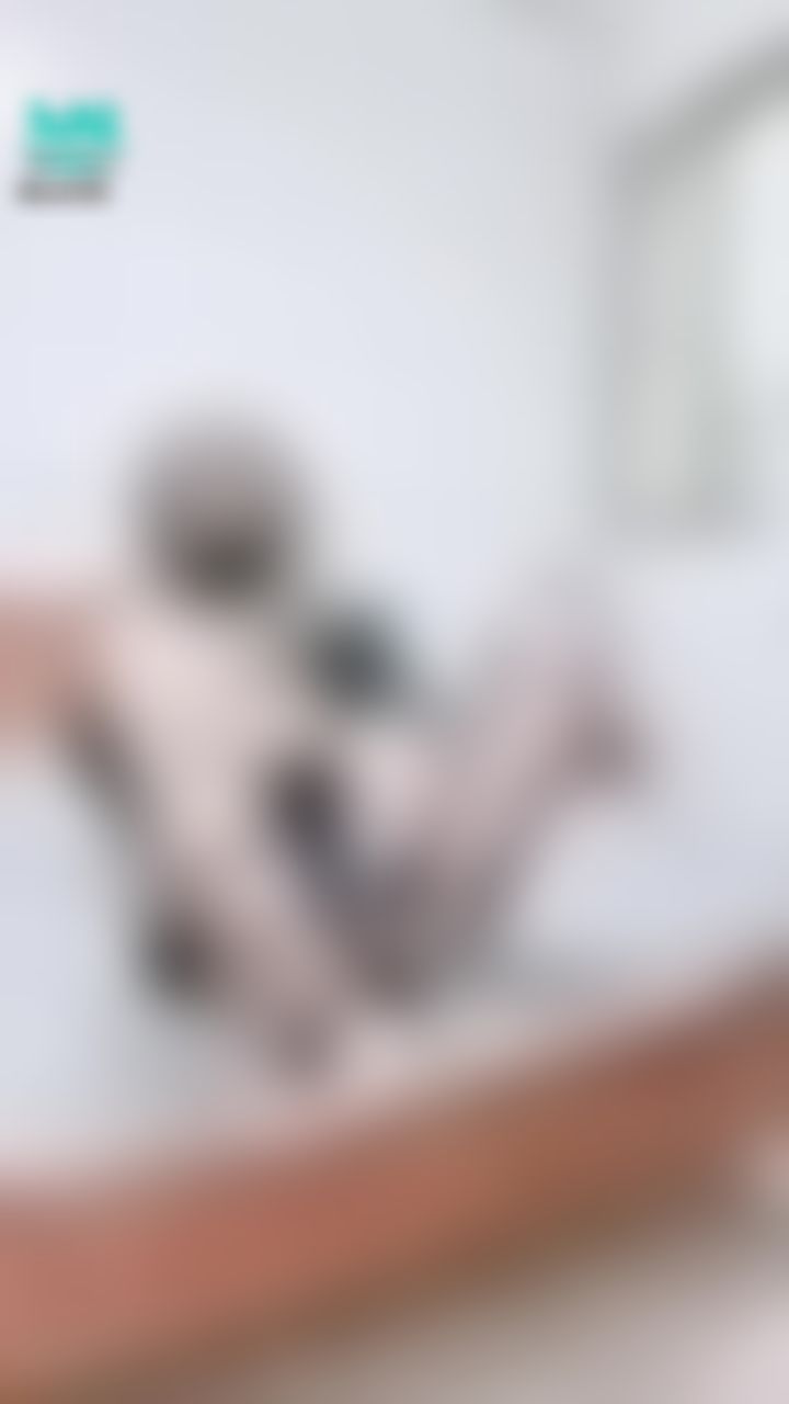 qoo089 : Babe練習玩具足交,等老闆來實戰!