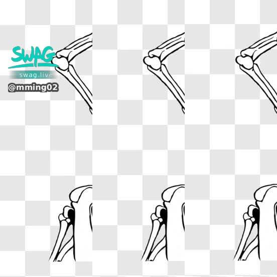 heic testing | SWAG