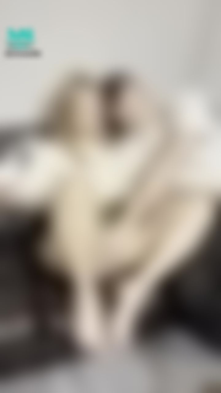 babes.private : 玖玖跟墨鏡男小小約會