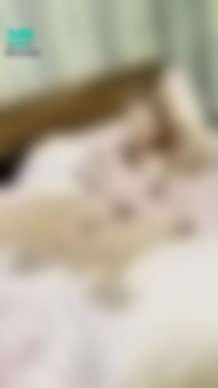 babes.private : 第一次看到玖玖投降...🤣🤣