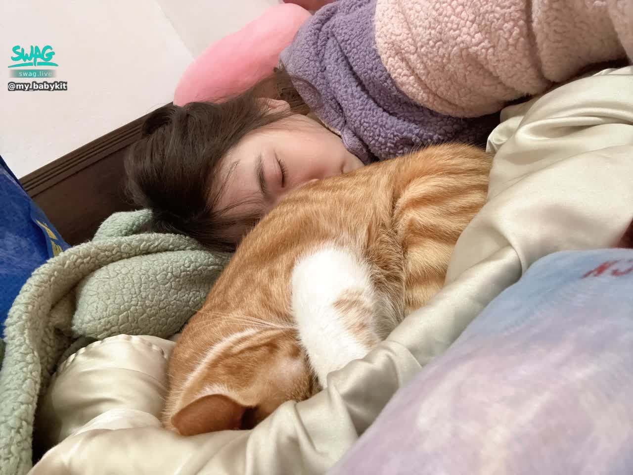 my_babykitten : 好冷喔🥶🥶🥶🥶🥶
整理東西到一半就忍不住吸🐱
最後就只能與🐱同睡了
#貓之呼吸 #碰到床就暈倒😂😂😂