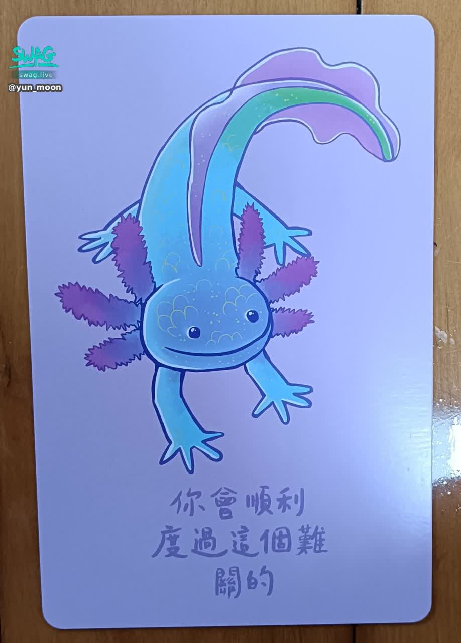 yun_moon : 動物療癒卡牌~