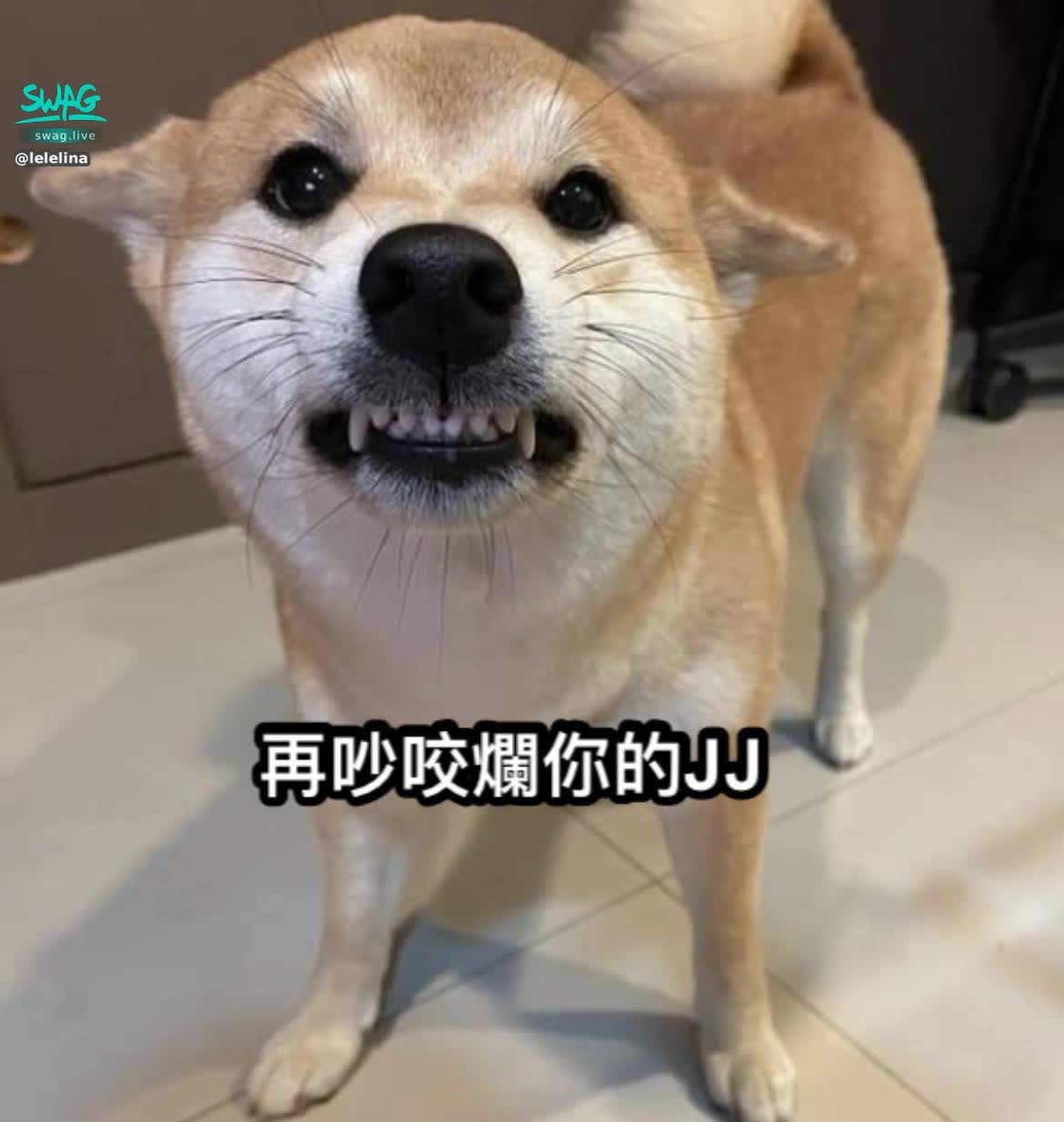 lelelina : 尊重很難嗎?🙄🙄🙄
今天再怎麼好的脾氣也會因為你的一句無所謂白癡笑話徹底對你的品格急降到地獄～🙄🙄🙄🙄🙄
🙄果然當鍵盤手可以那麼逍遙的感覺我終於能體會了！
之前的玩笑我不當一回事
現在的玩笑我當言語霸凌，我已經截圖起來了！再提再說不會放過！
你已經踐踏女性的最低底線了。
❗️對了！如果有人問我什麼事情我直接貼出截圖呦！！
#氣噗噗#樂樂
