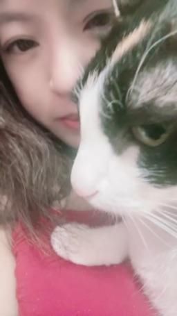 lovemeredith : 我的貓女兒，你也有貓貓嗎？可以換片片
