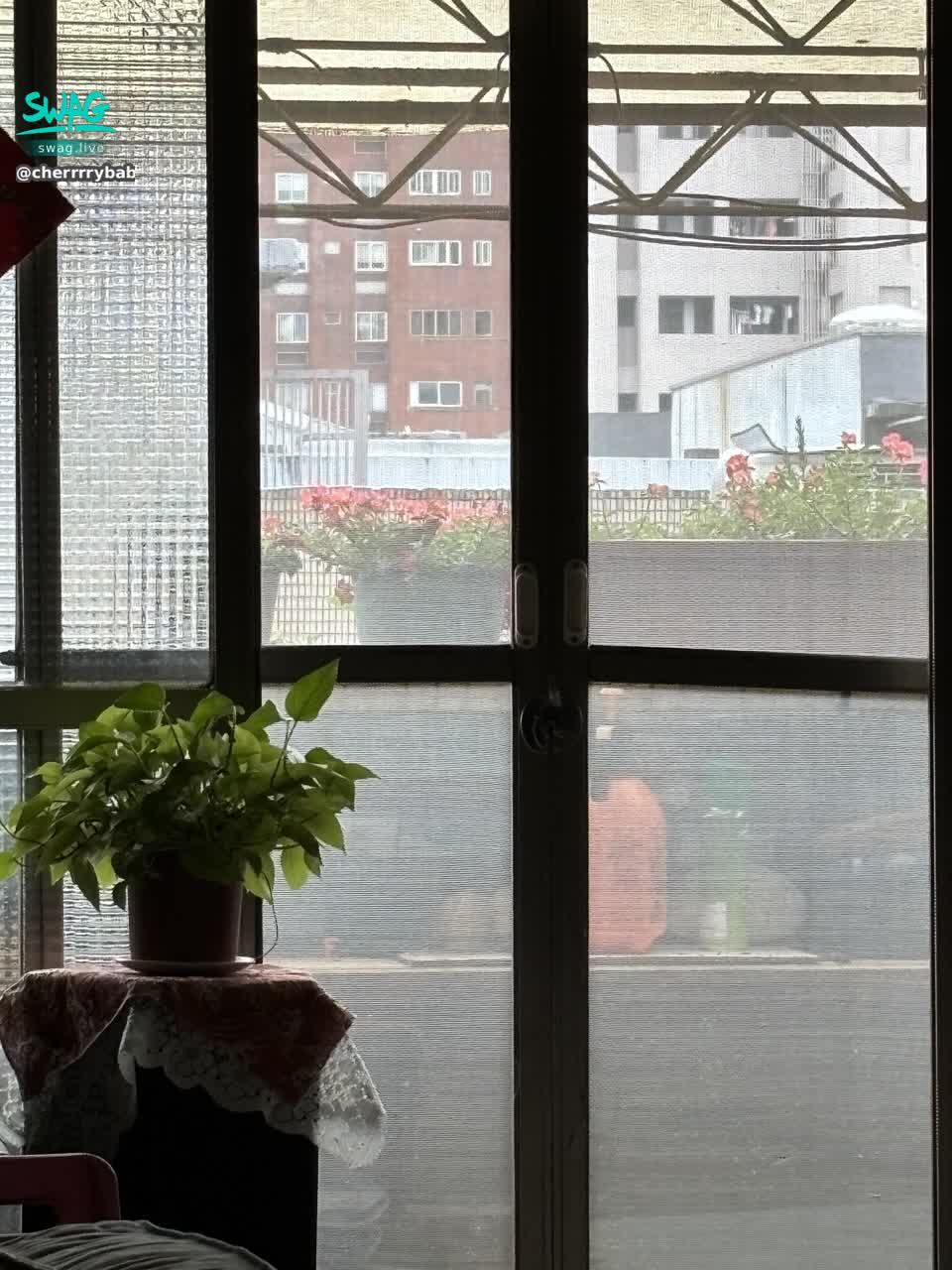 cherrrrybabe : 有鳥跑進我家陽台