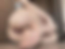 mealyrain8578 : 💦湿漉漉