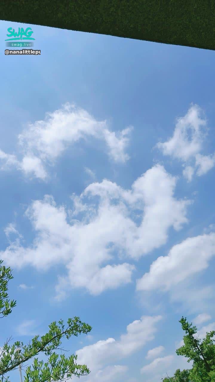 nanalittlepupy : 好像有點像❤️欸
好可愛
是不是就像人家愛你形狀呢？