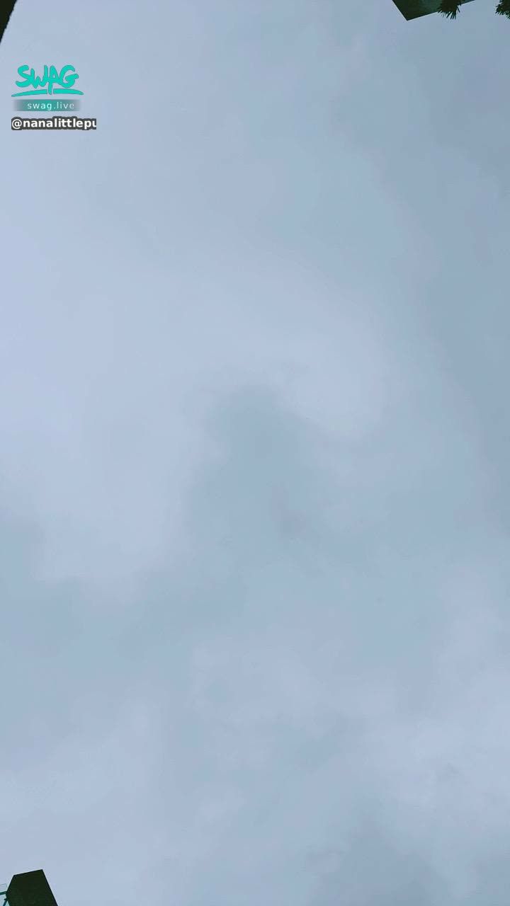 nanalittlepupy : 嗚嗚😭
怎麼又下雨了啦
人家要變成落湯雞了啦
