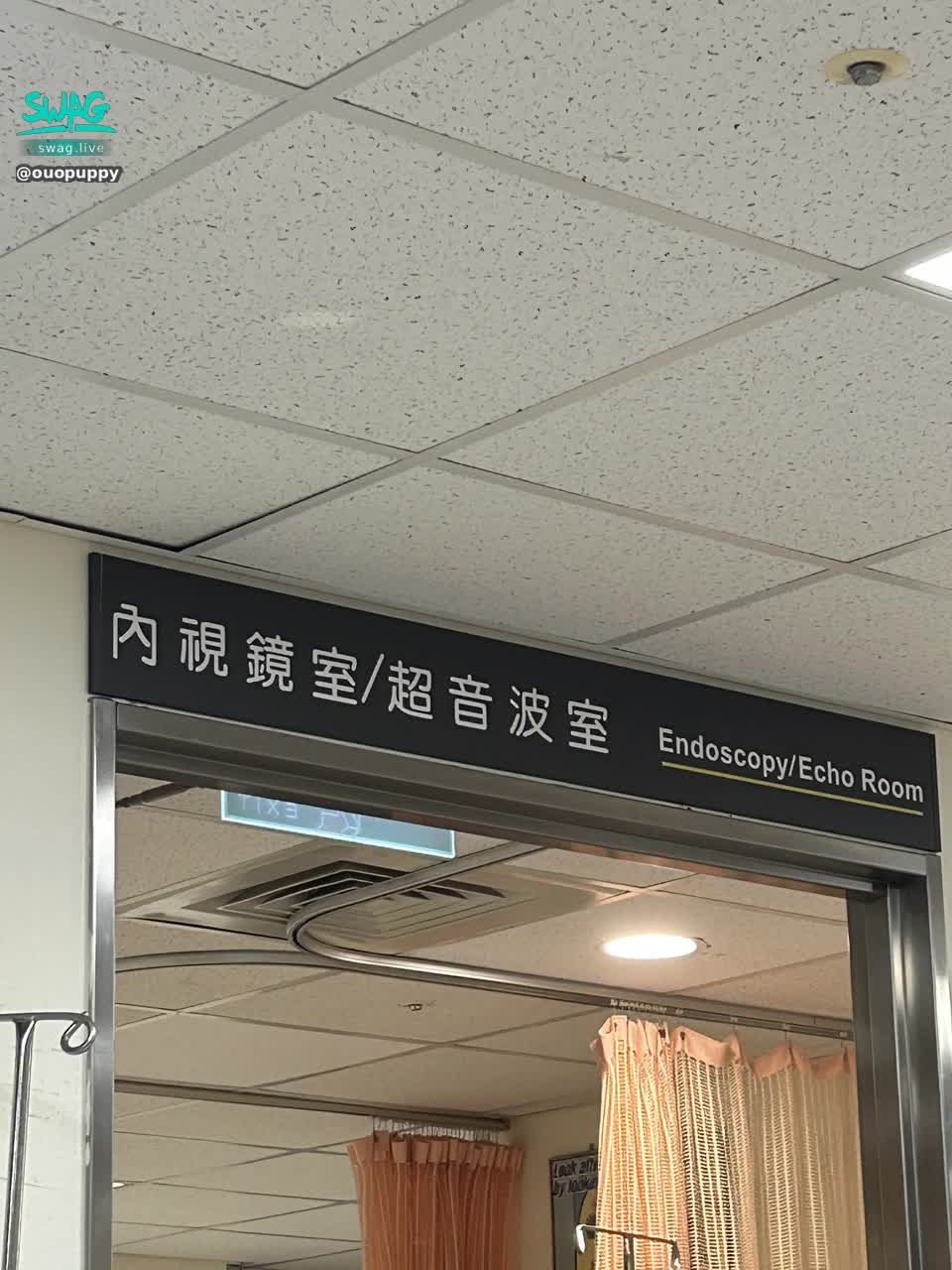 ouopuppy : 空腹7小時..準備照超音波..🙂‍↕️領影片的寶寶們爆量～小姊姊只有一個人～兩隻手～要有點耐心ㄛ～