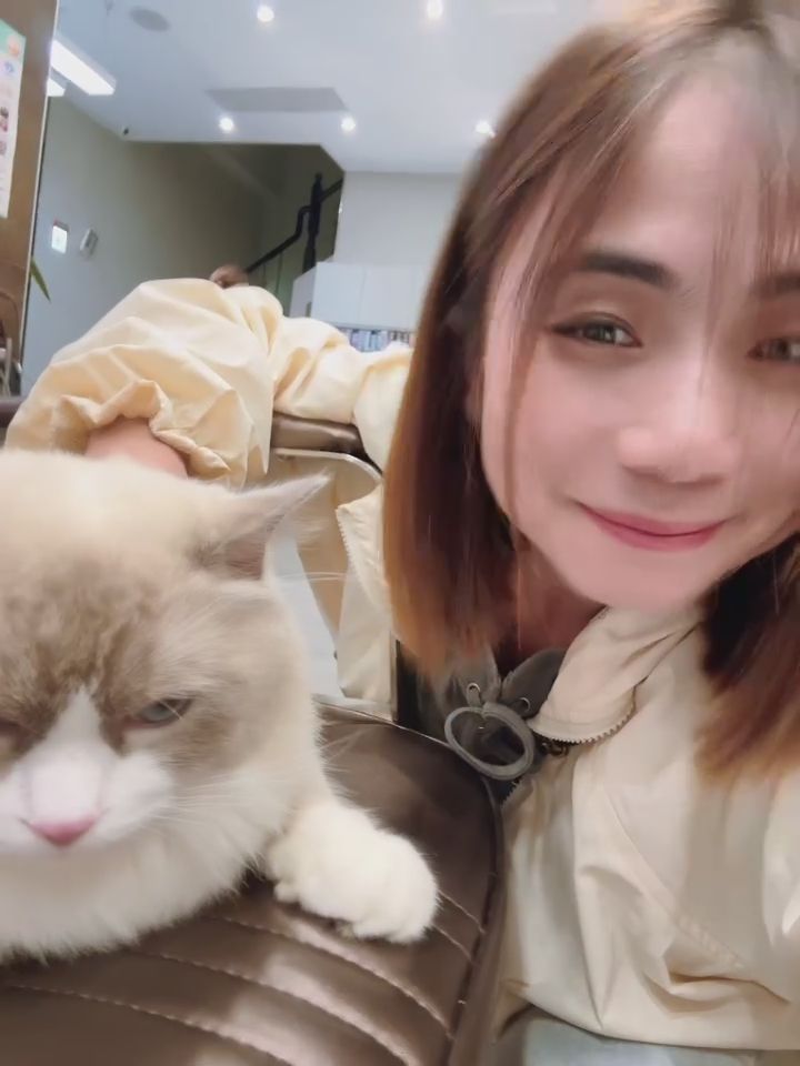 pizza_0705 : 可愛的喵喵😻有人知道這是什麼品種嗎～私訊猜對給福利❤ #生活 #日常 #可愛 #露臉 #素人 #甜美