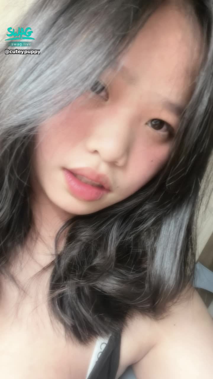 cuteypuppy : 浪準備11.開播嘍