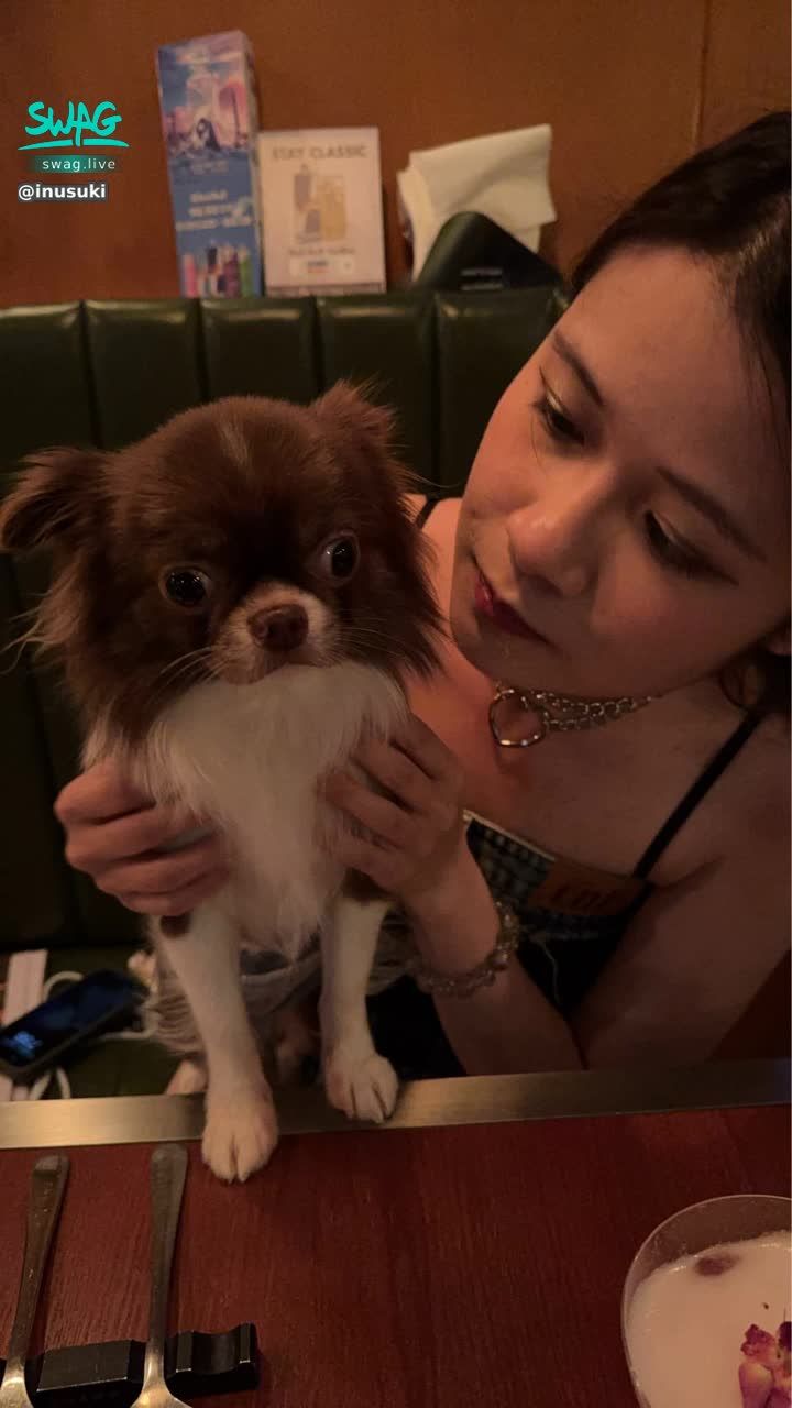 inusuki : 真的很喜歡吉娃娃🥺
超級喜歡小狗
越神經質越可愛（？）