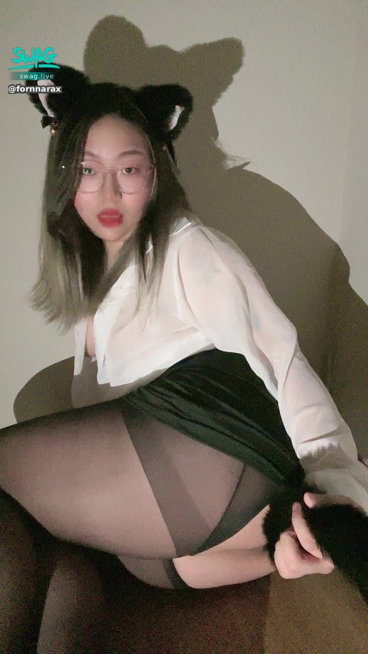 fornnarax : 有尾巴的好貓咪❤️