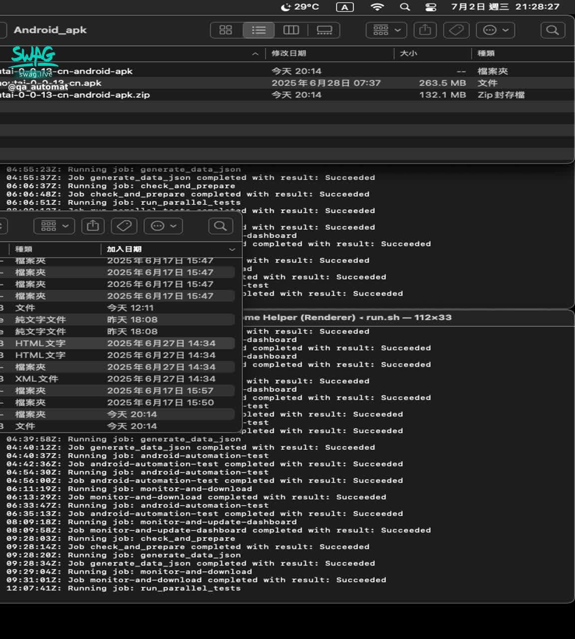 2025-07-02 21:28:31.059 - qa_automation_test_2 - SWAG