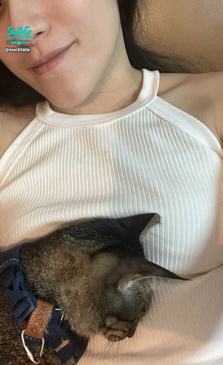 sucklala : 喜歡貓咪嗎🐱