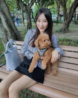 miaa0601 : 狗狗真可愛 帶著小狗到戶外跑來跑去!