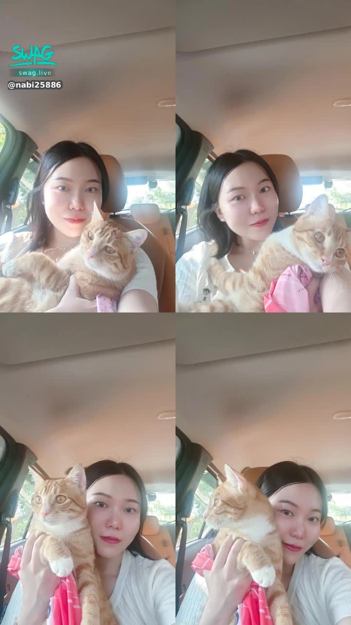 nabi25886 : 貓咪缺個爸爸
.
#貓咪 #生活 #可愛