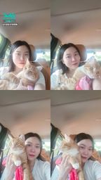 : The cat needs a dad