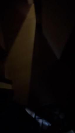  : 小狐狸尾巴勾引老婆不在家的人